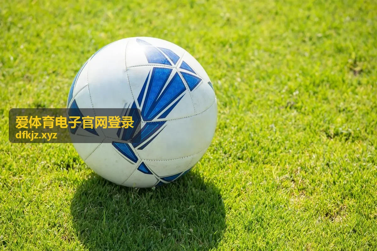 手机上完成爱体育电子官网登录后的界面布局示意