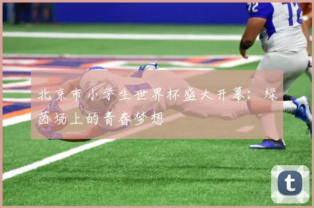 北京市小学生世界杯盛大开幕：绿茵场上的青春梦想