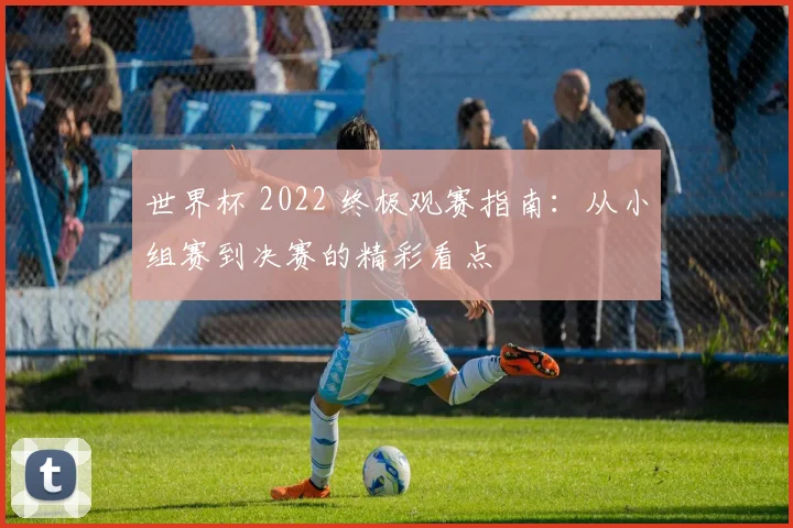 世界杯 2022 终极观赛指南：从小组赛到决赛的精彩看点