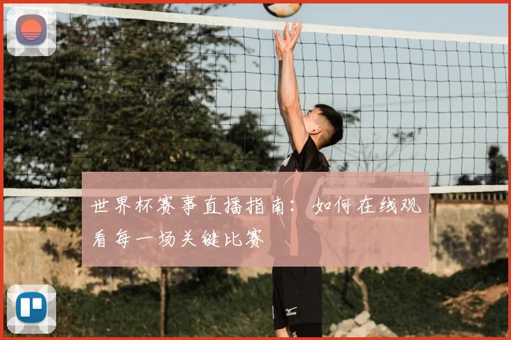 世界杯赛事直播指南：如何在线观看每一场关键比赛