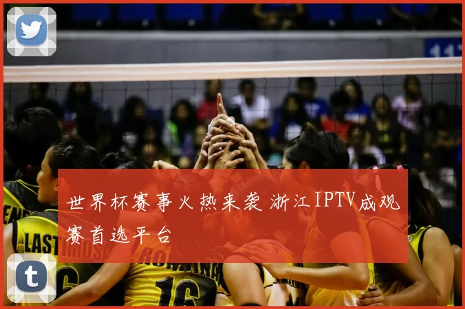 世界杯赛事火热来袭 浙江IPTV成观赛首选平台