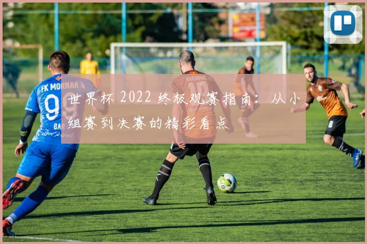 世界杯 2022 终极观赛指南：从小组赛到决赛的精彩看点