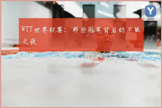 WTT世界杯赛:那些冠军背后的不眠之夜