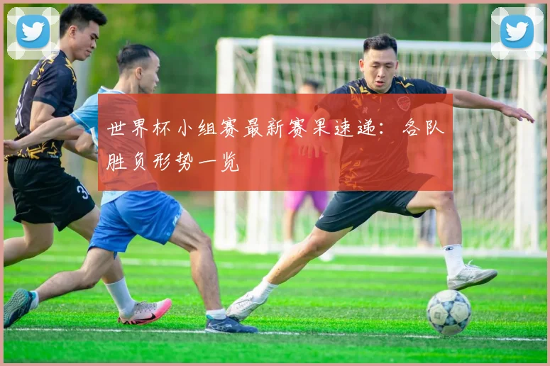 世界杯小组赛最新赛果速递：各队胜负形势一览