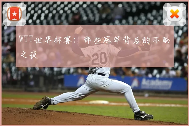 WTT世界杯赛:那些冠军背后的不眠之夜