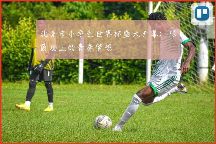 北京市小学生世界杯盛大开幕：绿茵场上的青春梦想